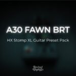 Vox AC30 line 6 hx stomp xl worship guitar preset