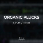 Organic plucks serum 2 worship preset